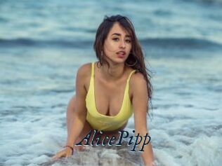 AlicePipp