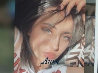 Aneu