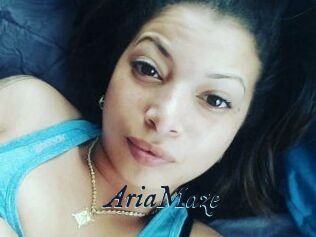 Aria_Maze