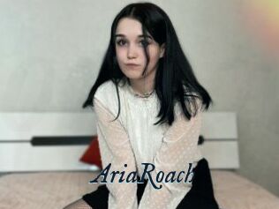 AriaRoach