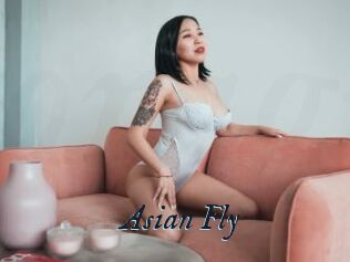 Asian_Fly