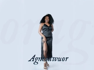Agnesawuor