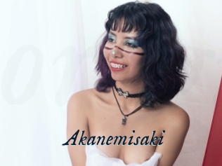 Akanemisaki