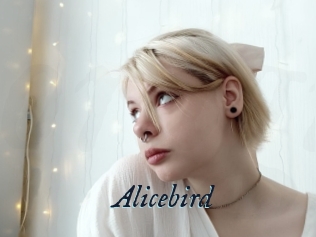 Alicebird