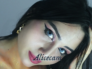 Alicecam