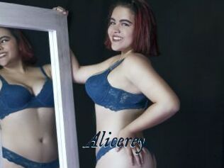 Alicerey