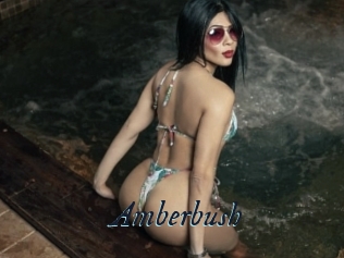 Amberbush