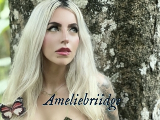 Ameliebriidge