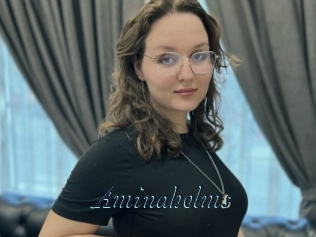 Aminaholms