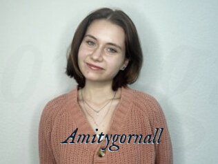 Amitygornall
