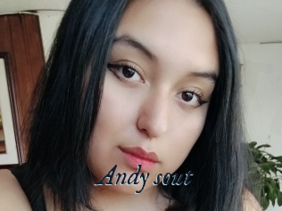 Andy_sout