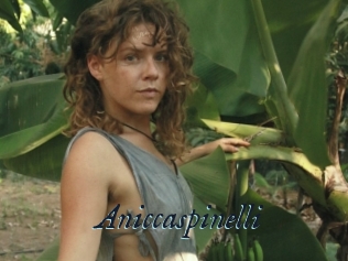 Aniccaspinelli