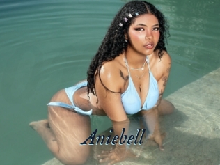 Aniebell