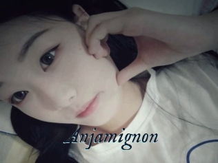 Anjamignon