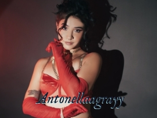Antonellaagrayy