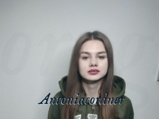 Antoniacordner