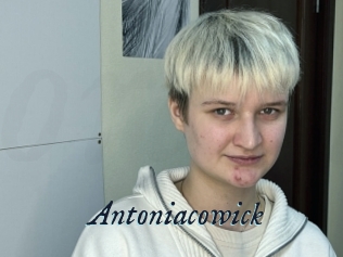 Antoniacowick
