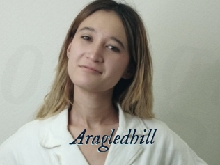 Aragledhill