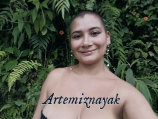 Artemiznayak