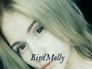BirdMolly