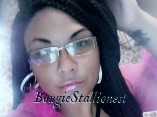 BougieStallionest