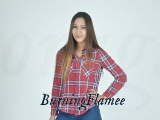 BurningFlamee