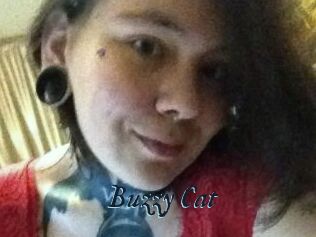 Buzzy_Cat
