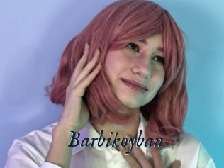 Barbikoyban