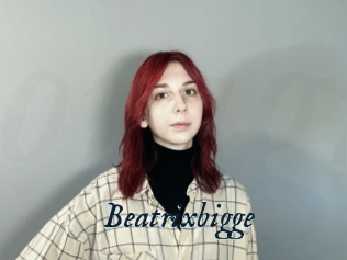 Beatrixbigge