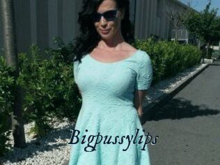 Bigpussylips
