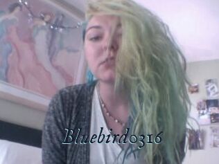 Bluebird0316