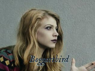 Boggartbird