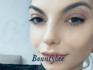 Bountybee