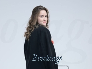 Breckcage