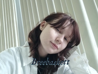 Breebaskett