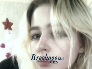 Breeboggus