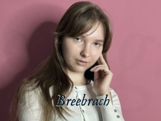 Breebrach