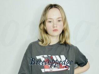 Breecoppedge