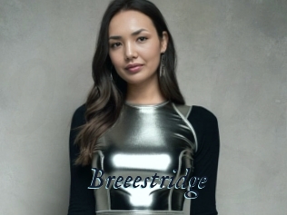 Breeestridge