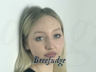 Breefudge