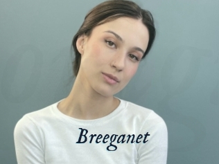 Breeganet