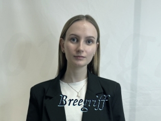 Breegriff