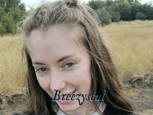 Breezysoul