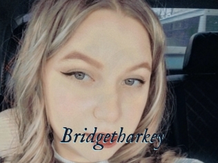 Bridgetharkey