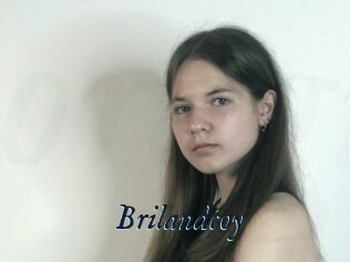 Brilandcoy