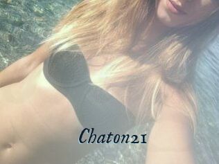 Chaton21