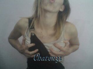 Chaton31