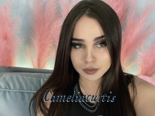 Cameliacurtis