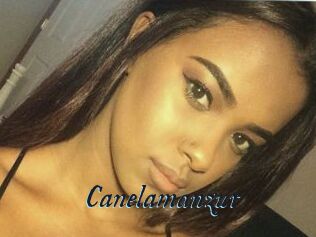 Canelamanzur