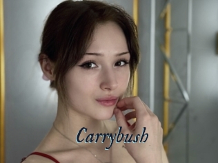 Carrybush